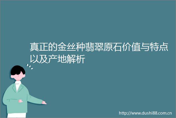 真正的金丝种翡翠原石价值与特点以及产地解析