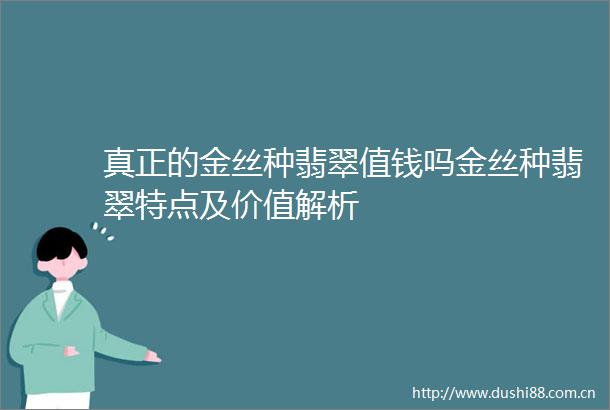 真正的金丝种翡翠值钱吗金丝种翡翠特点及价值解析