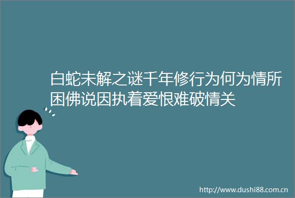 白蛇未解之谜千年修行为何为情所困佛说因执着爱恨难破情关