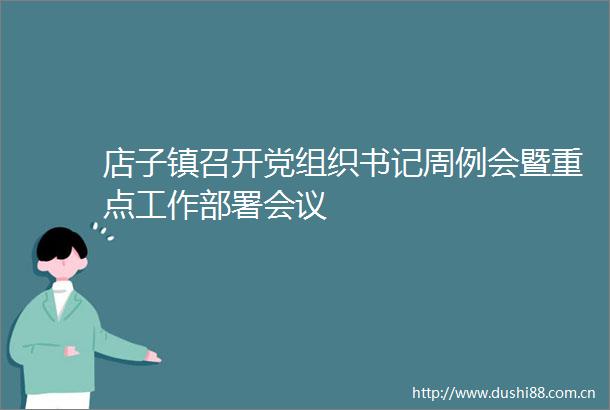 店子镇召开党组织书记周例会暨重点工作部署会议