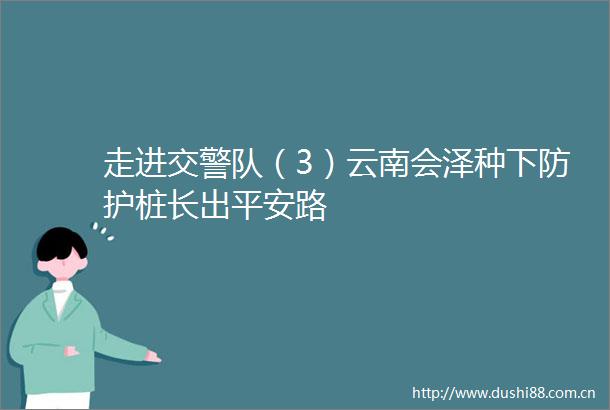 走进队（3）云南会泽种下防护桩长出平安路