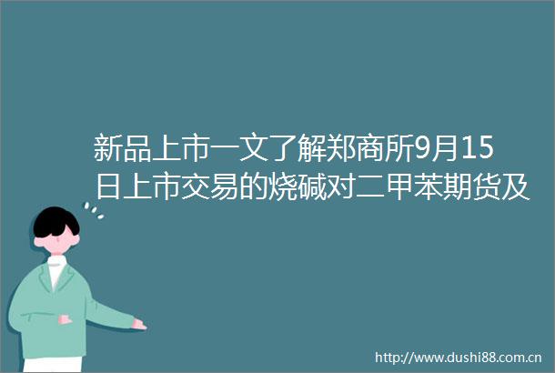 新品上市一文了解郑商所9月15日上市交易的烧碱对二甲苯期货及期权品种