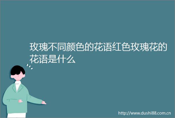玫瑰不同颜色的花语红色玫瑰花的花语是什么