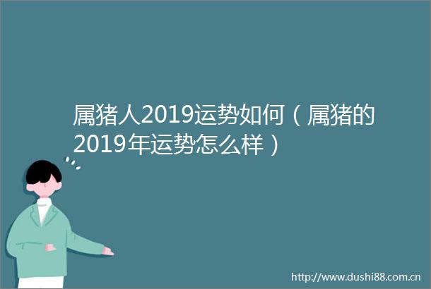 属猪人2019运势如何（属猪的2019年运势怎么样）