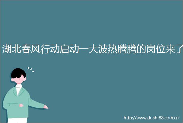 湖北春风行动启动一热腾腾的岗位来了