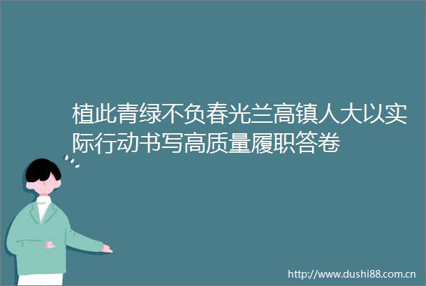 植此青绿不负春光兰高镇人大以实际行动书写高质量履职答卷