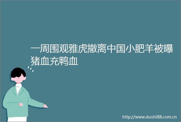 一周围观雅虎撤离小肥羊被曝猪血充鸭血