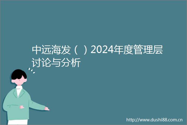 中远海发（）2024年度管理层讨论与分析