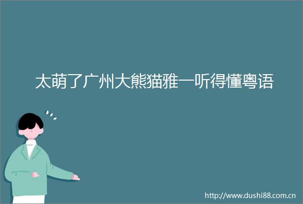 太萌了广州大熊猫雅一听得懂粤语