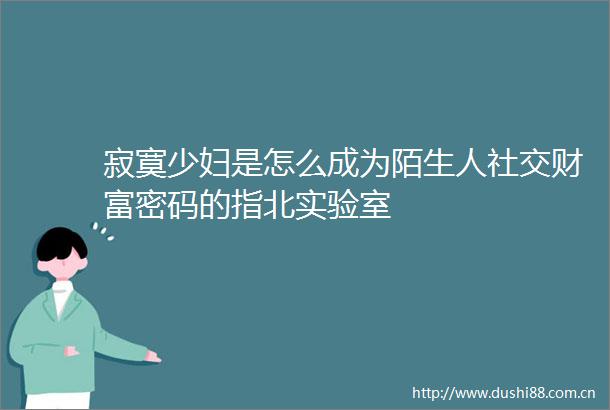 寂寞少妇是怎么成为陌生人社交财富密码的指北实验室