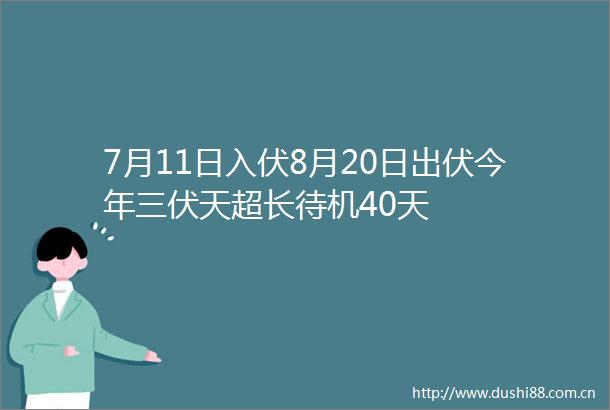 7月11日入伏8月20日出伏今年三伏天超长待机40天