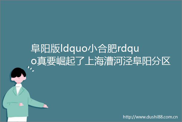 阜阳版ldquo小合肥rdquo真要崛起了上海漕河泾阜阳分区来了承接长三角产业转移世界500强将入驻这个区域身价要涨