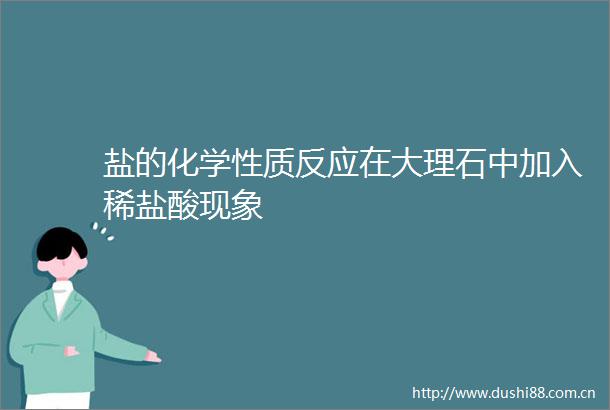 盐的化学性质反应在大理石中加入稀盐酸现象