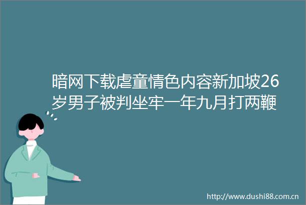 暗网下载虐童内容新加坡26岁男子被判坐牢一年九月打两鞭
