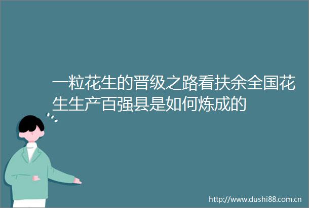 一粒花生的晋级之路看扶余全国花生生产百强县是如何炼成的