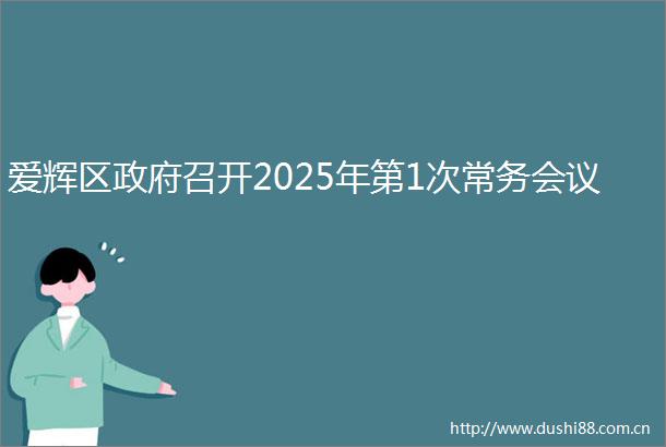 爱辉区召开2025年第1次常务会议