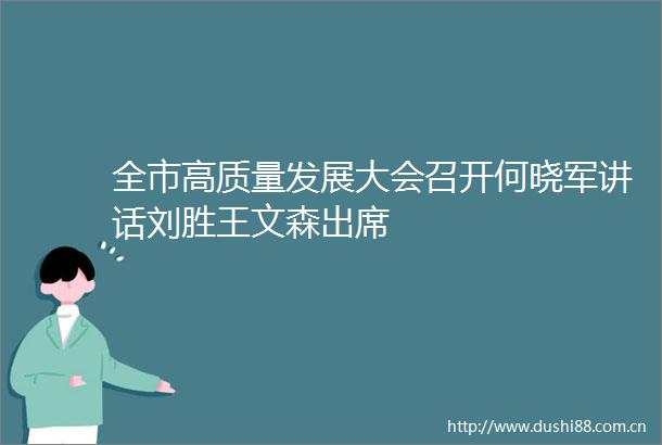 全市高质量发展大会召开何晓军讲话刘胜王文森出席