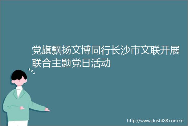党旗飘扬文博同行长沙市文联开展联合主题党日活动