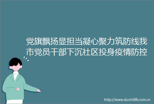 党旗飘扬显担当凝心聚力筑防线我市党员下沉社区投身疫情防控一线