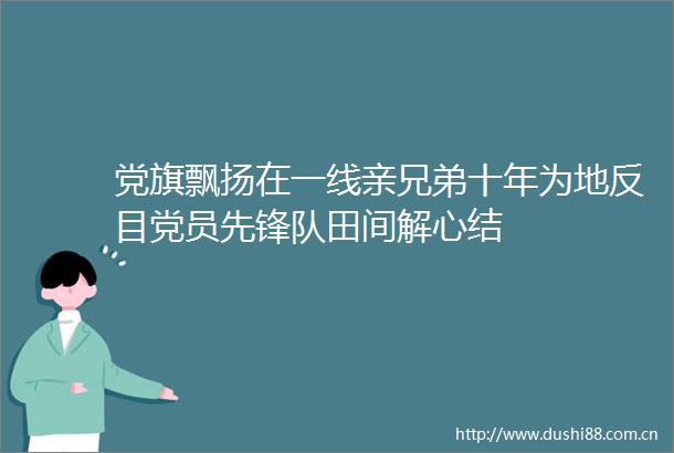党旗飘扬在一线亲兄弟十年为地反目党员先锋队田间解心结