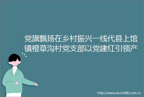 党旗飘扬在乡村振兴一线代县上馆镇橙草沟村党支部以党建红引领产业金生态绿