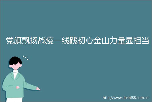 党旗飘扬战疫一线践初心金山力量显担当