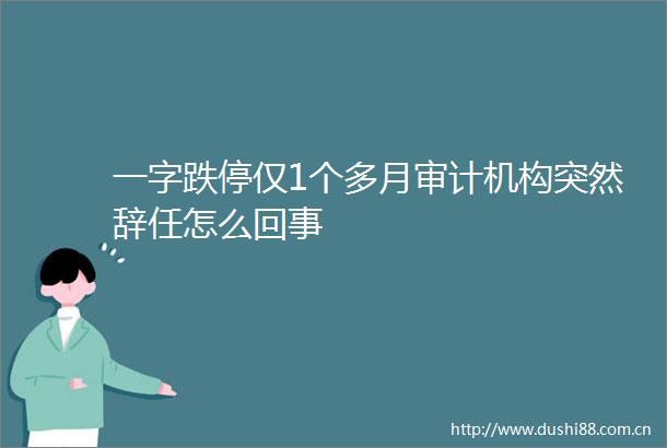 一字跌停仅1个多月审计机构突然辞任怎么回事
