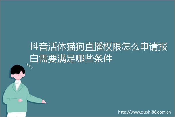 抖音活体猫狗直播权限怎么申请报白需要满足哪些条件
