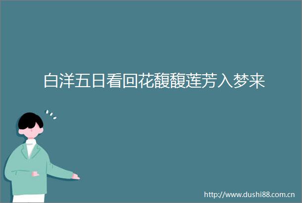 白洋五日看回花馥馥莲芳入梦来
