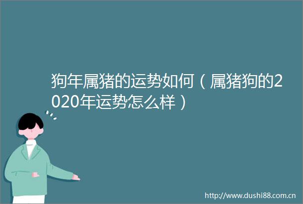 狗年属猪的运势如何（属的2020年运势怎么样）
