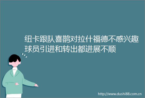 纽卡跟队喜鹊对拉什福德不感兴趣球员引进和转出都进展不顺