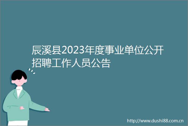 辰溪县2023年度事业单位公开招聘工作人员公告