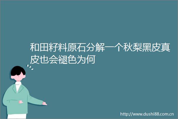 和田籽料原石分解一个秋梨黑皮真皮也会褪色为何