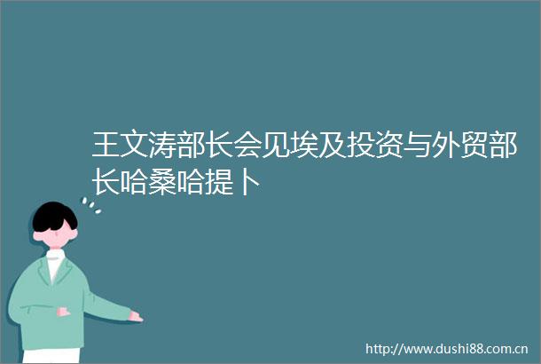 王文涛部长会见埃及投资与外贸部长哈桑哈提卜