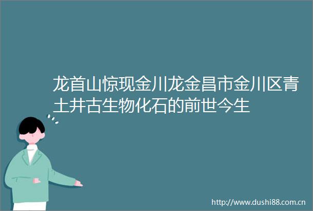 龙首山惊现金川龙金昌市金川区青土井古生物化石的前世今生