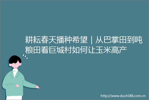 耕耘春天播种希望｜从巴掌田到吨粮田看巨城村如何让玉米高产