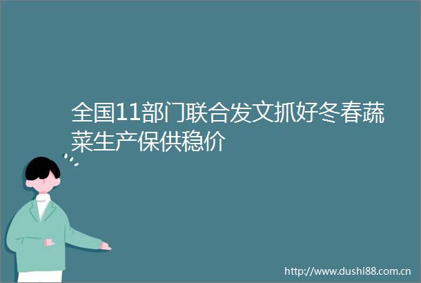 全国11部门联合发文抓好冬春蔬菜生产保供稳价