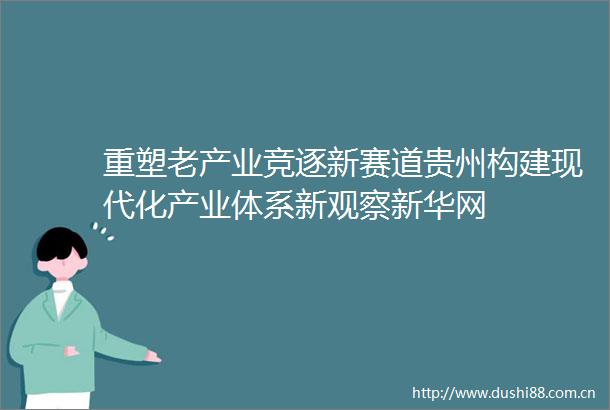 重塑老产业竞逐新赛道贵州构建现代化产业体系新观察新华网