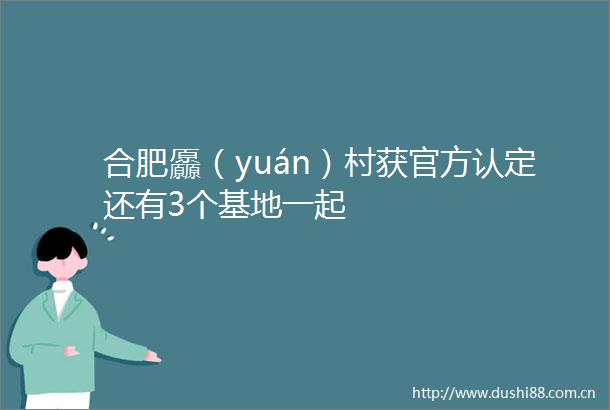 合肥厵（yuán）村获官方认定还有3个基地一起