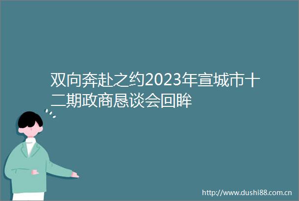 双向奔赴之约2023年宣城市十二期政商恳谈会回眸