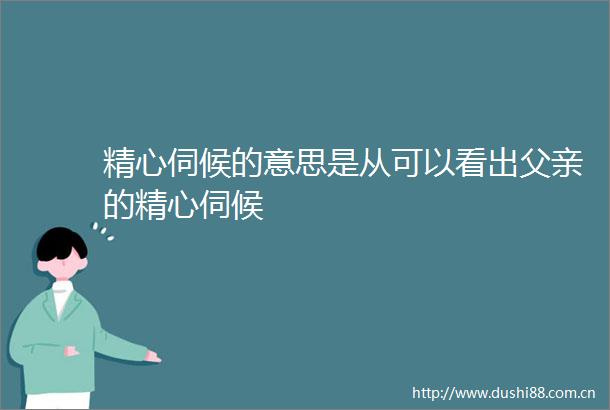 精心伺候的意思是从可以看出父亲的精心伺候