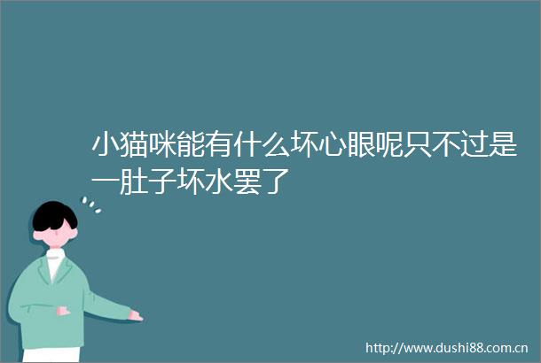 小猫咪能有什么坏心眼呢只不过是一肚子坏水罢了