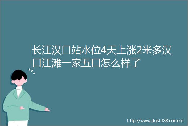长江汉口站水位4天上涨2米多汉口江滩一家五口怎么样了