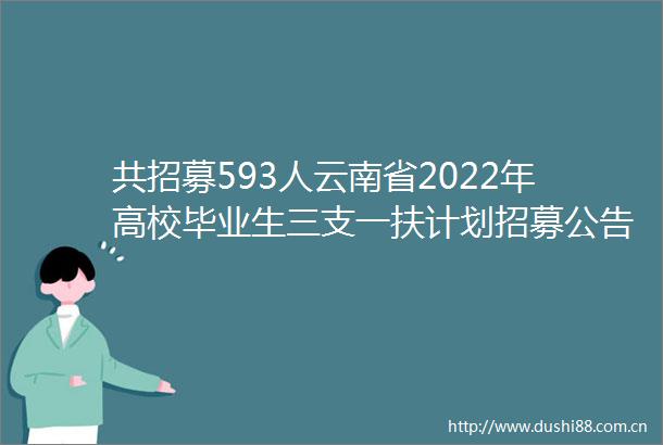 共招募593人云南省2022年高校毕业生三支一扶计划招募公告发布