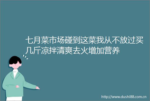 七月菜市场碰到这菜我从不放过买几斤凉拌清爽去火增加营养
