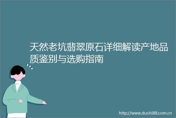 天然老坑翡翠原石详细解读产地品质鉴别与选购指南