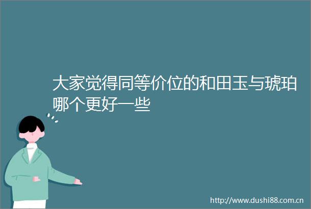 大家觉得同等价位的和田玉与琥珀哪个更好一些