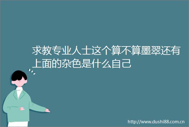 求教专业人士这个算不算墨翠还有上面的杂色是什么自己