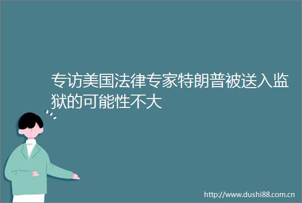 专访美国专家特朗普被送入监狱的可能性不大