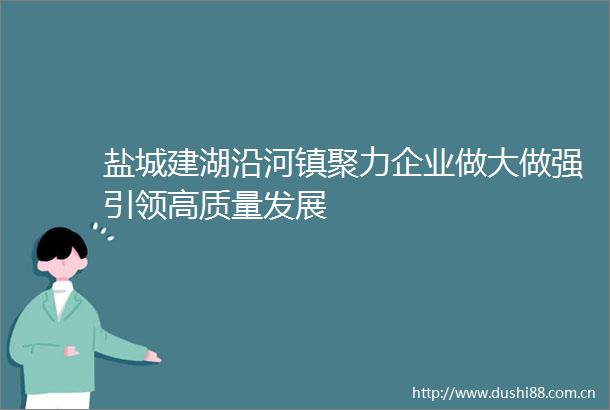 盐城建湖沿河镇聚力企业做大做强引领高质量发展